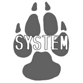 system